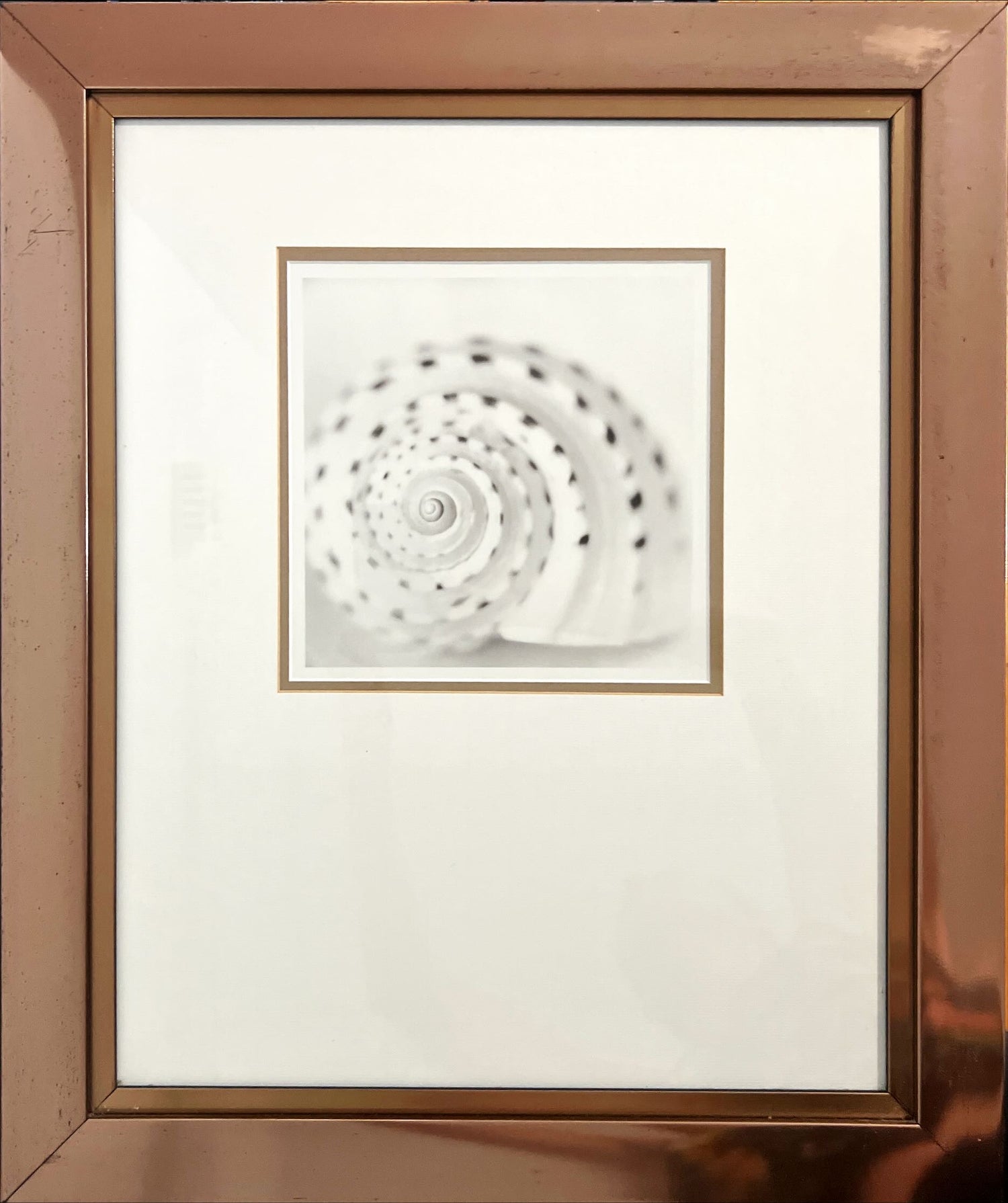 Print, Still Life, Unknown Artist, Front view
