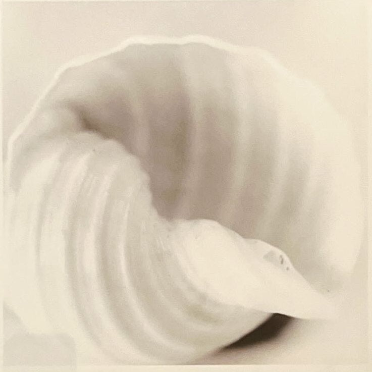 print, Still Life Unknown Artist, Cover view