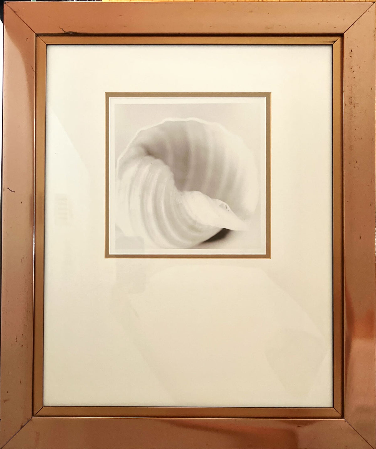 Print, Still Life, Unknown Artist, Front view