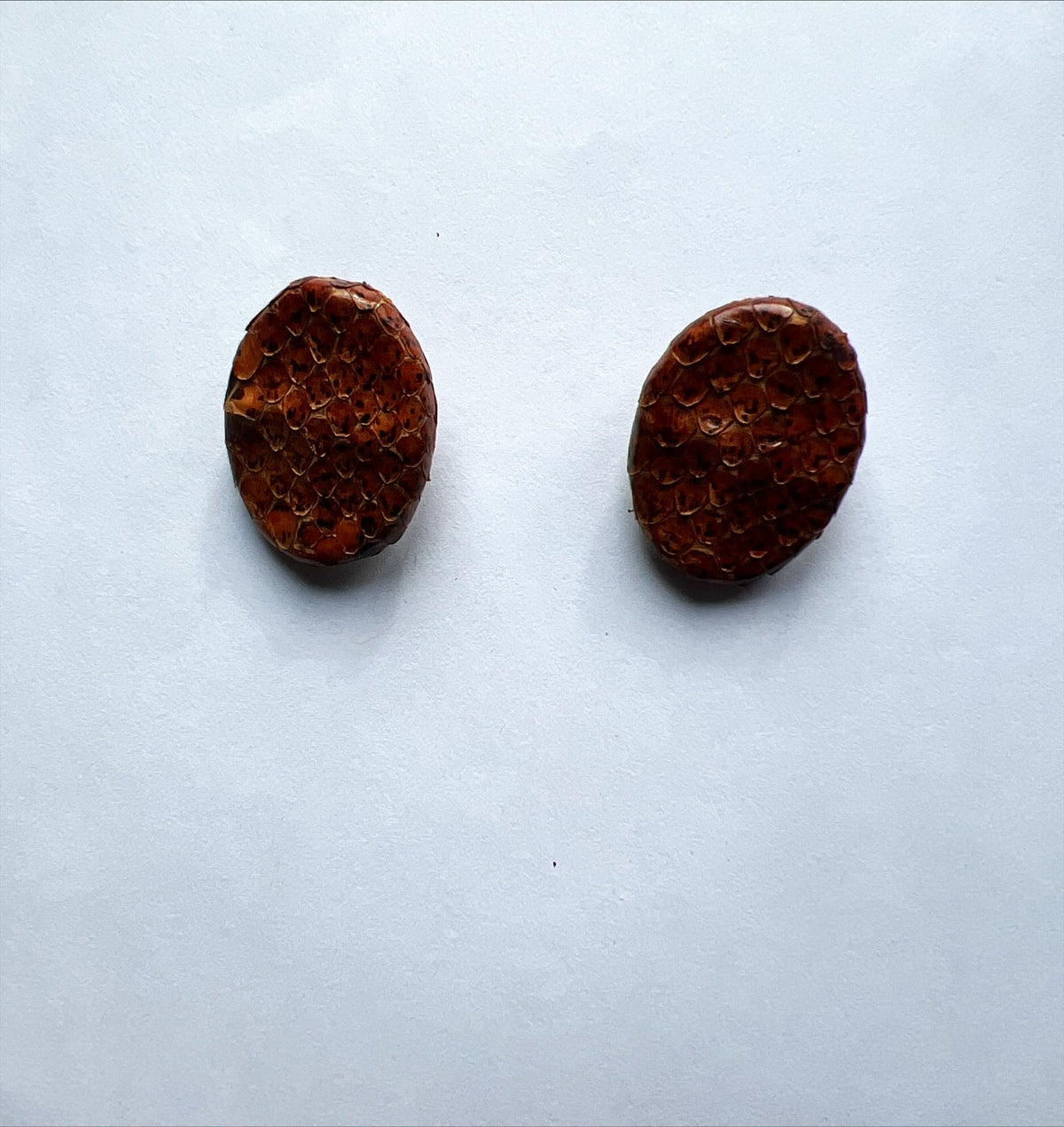Accessory, Earrings , Front view