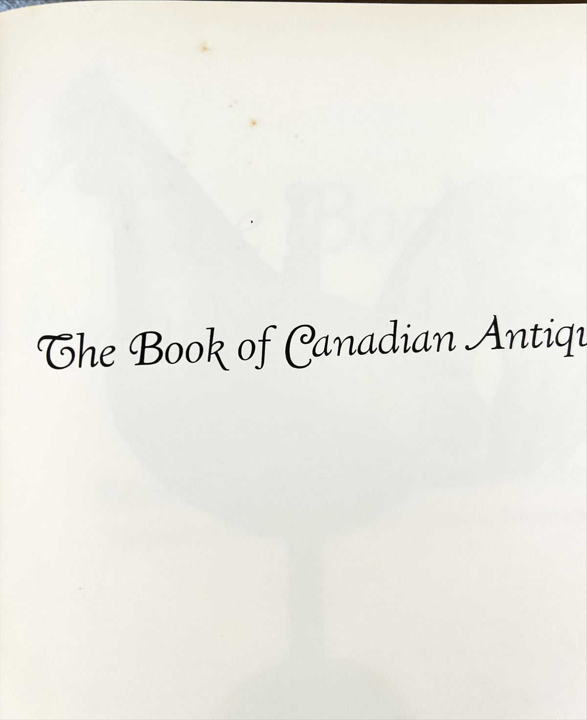 Book, Antique, Collectibles, Ed. Donald Blake Webster, The Book of Canadian Antiques, Damage view