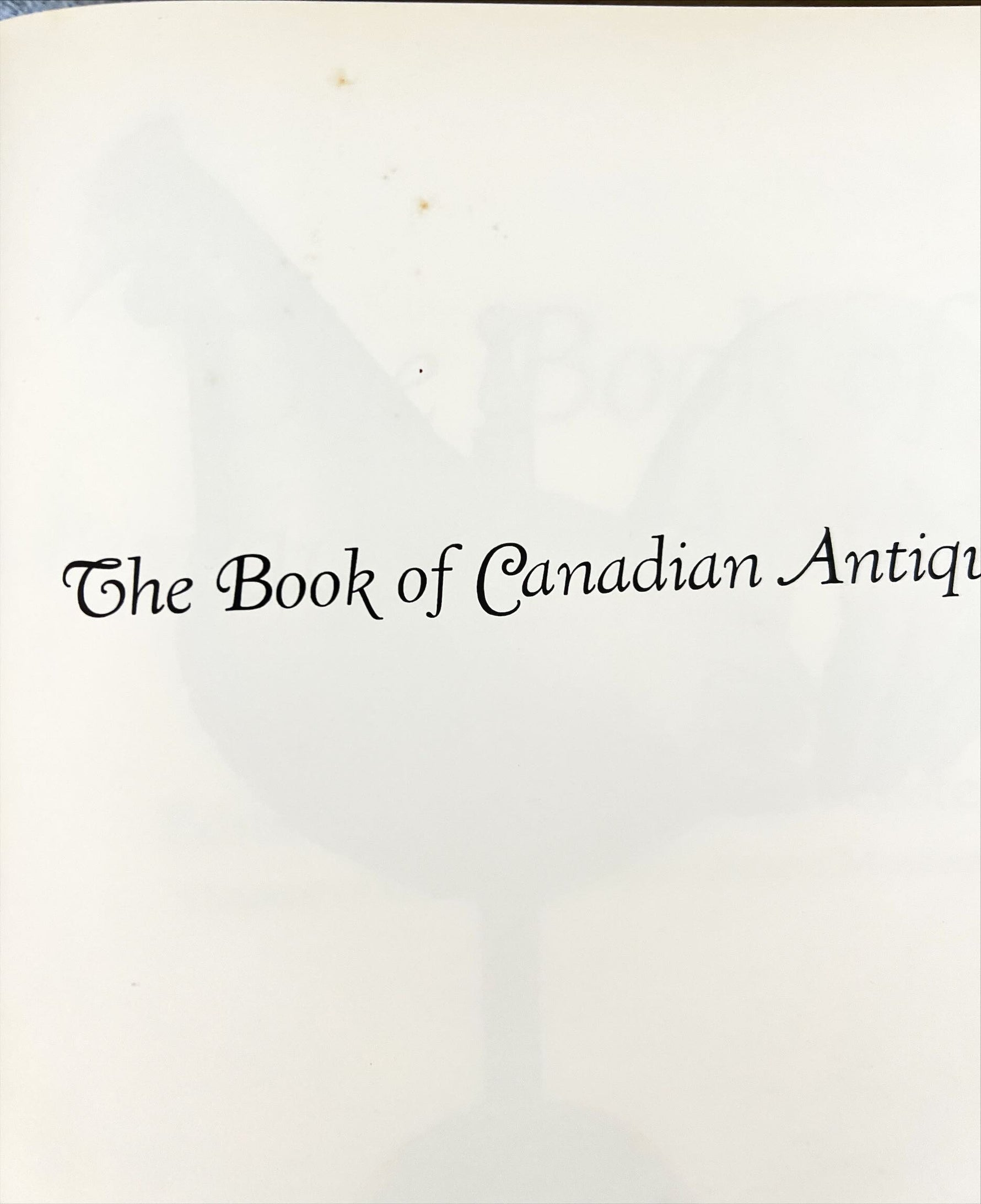 Book, Antique, Collectibles, Ed. Donald Blake Webster, The Book of Canadian Antiques, Damage view