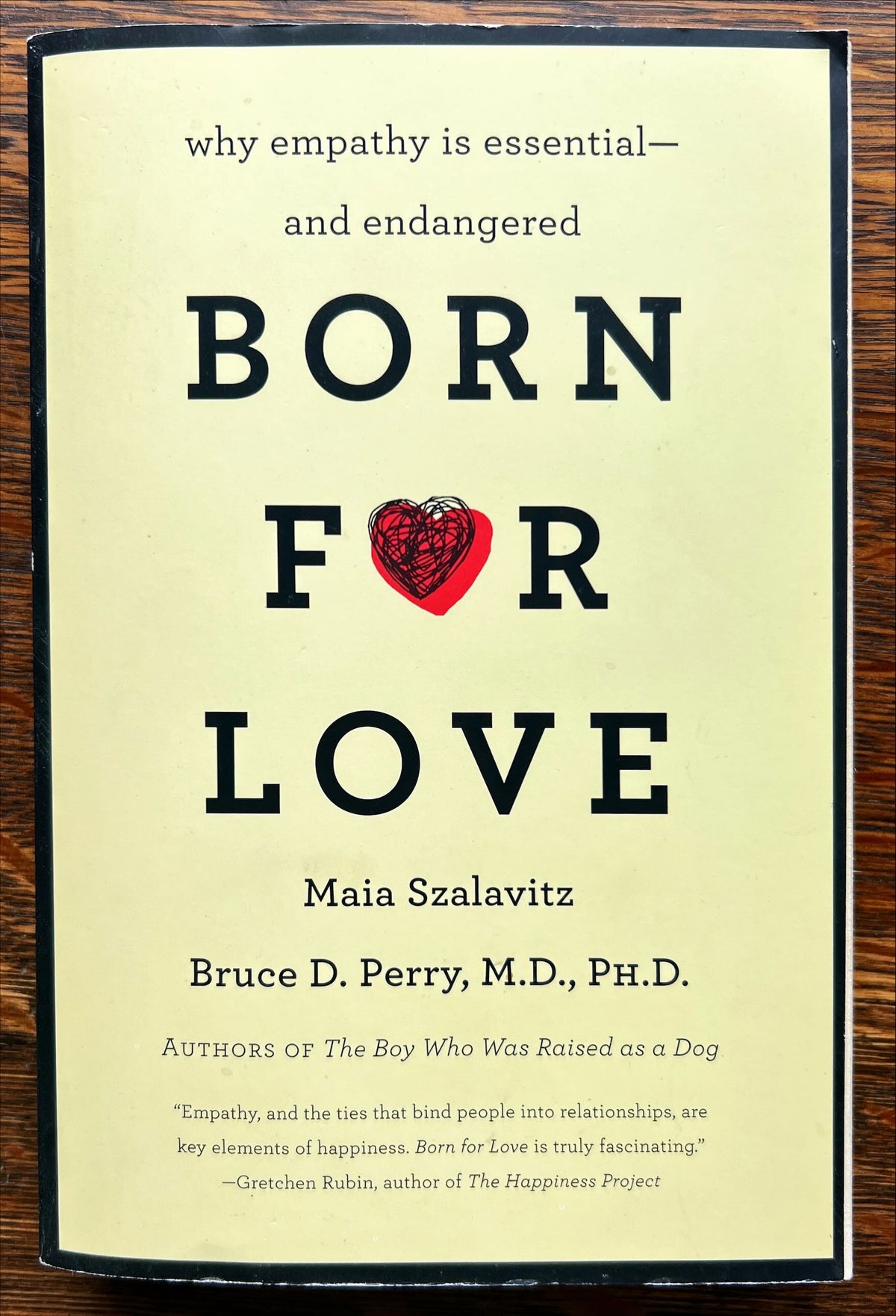 Book, Self Help, Maia Szalavitz and Bruce D. Perry, Born for Love, Front view