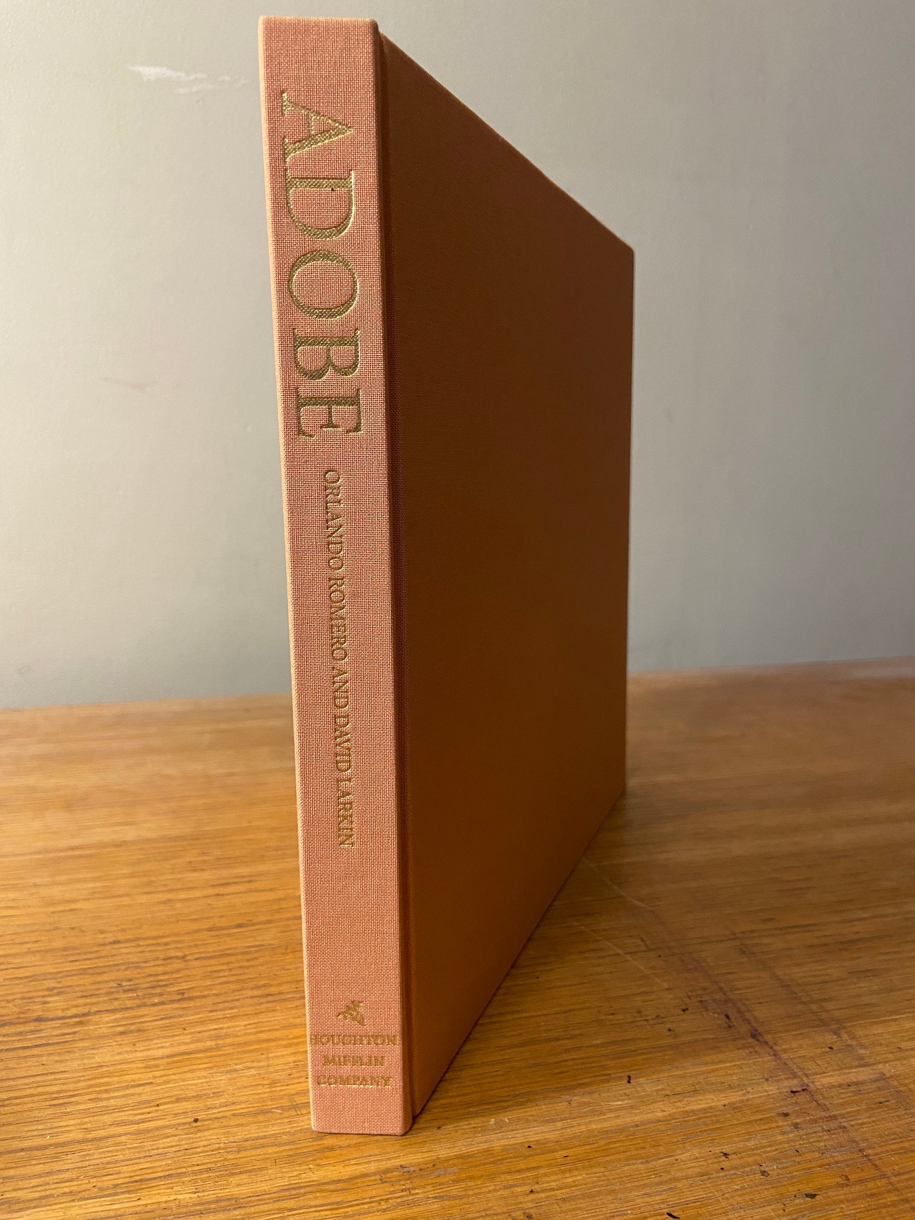 Book, Architecture, Orlando Romero and David Larkin, Adobe: Building and living with Earth, Spine view