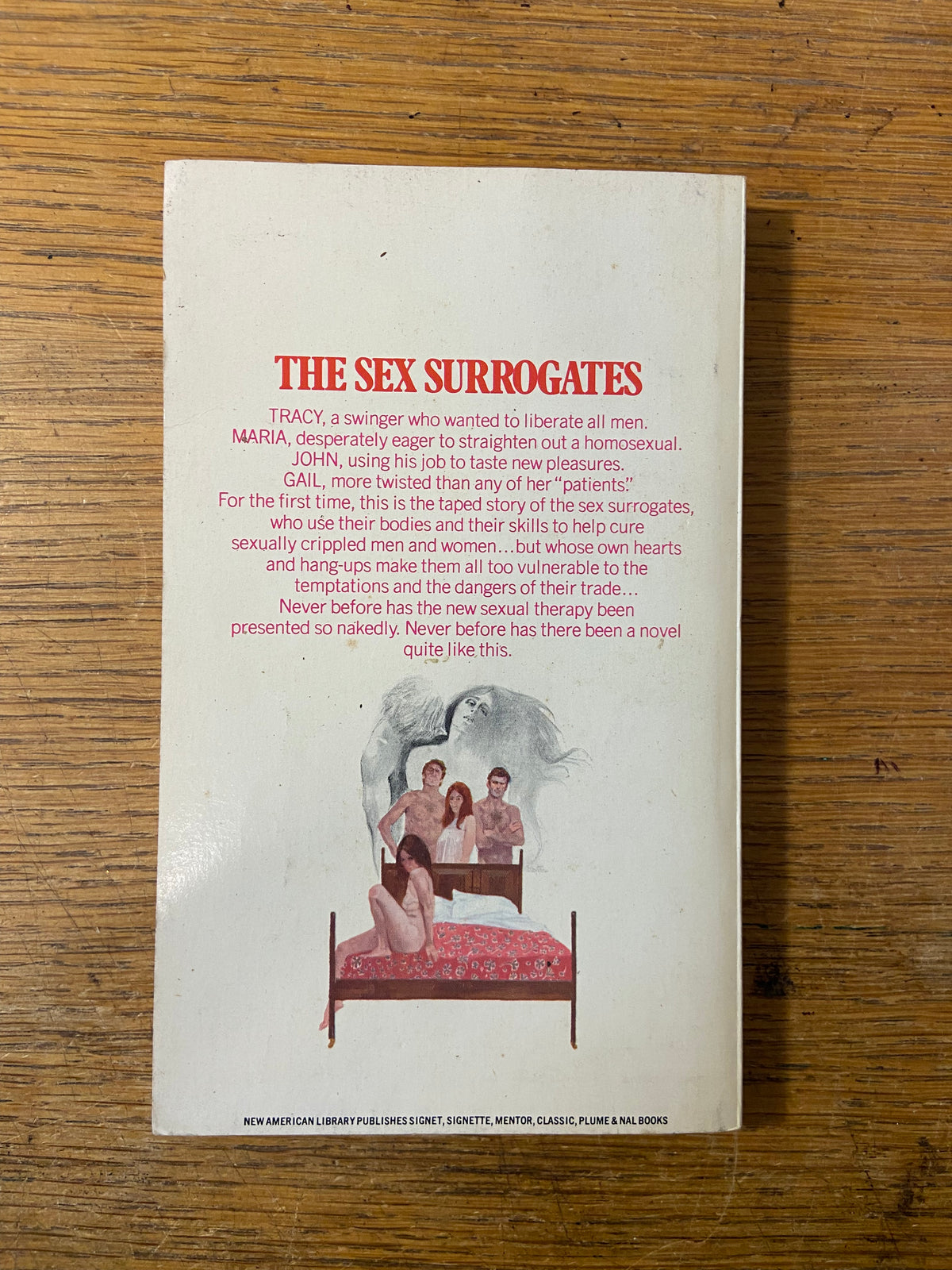 Book, Fiction, Michael Davidson, The Sex Surrogates, Back view