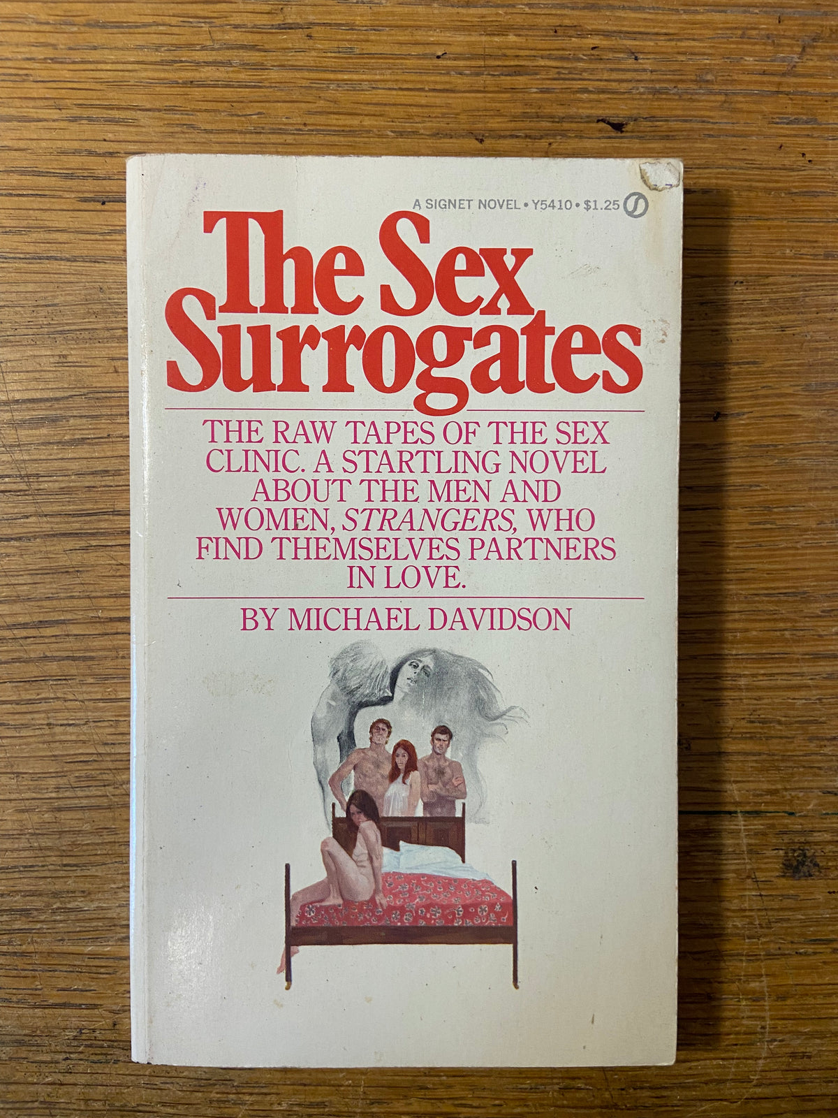 Book, Fiction, Michael Davidson, The Sex Surrogates, Front view