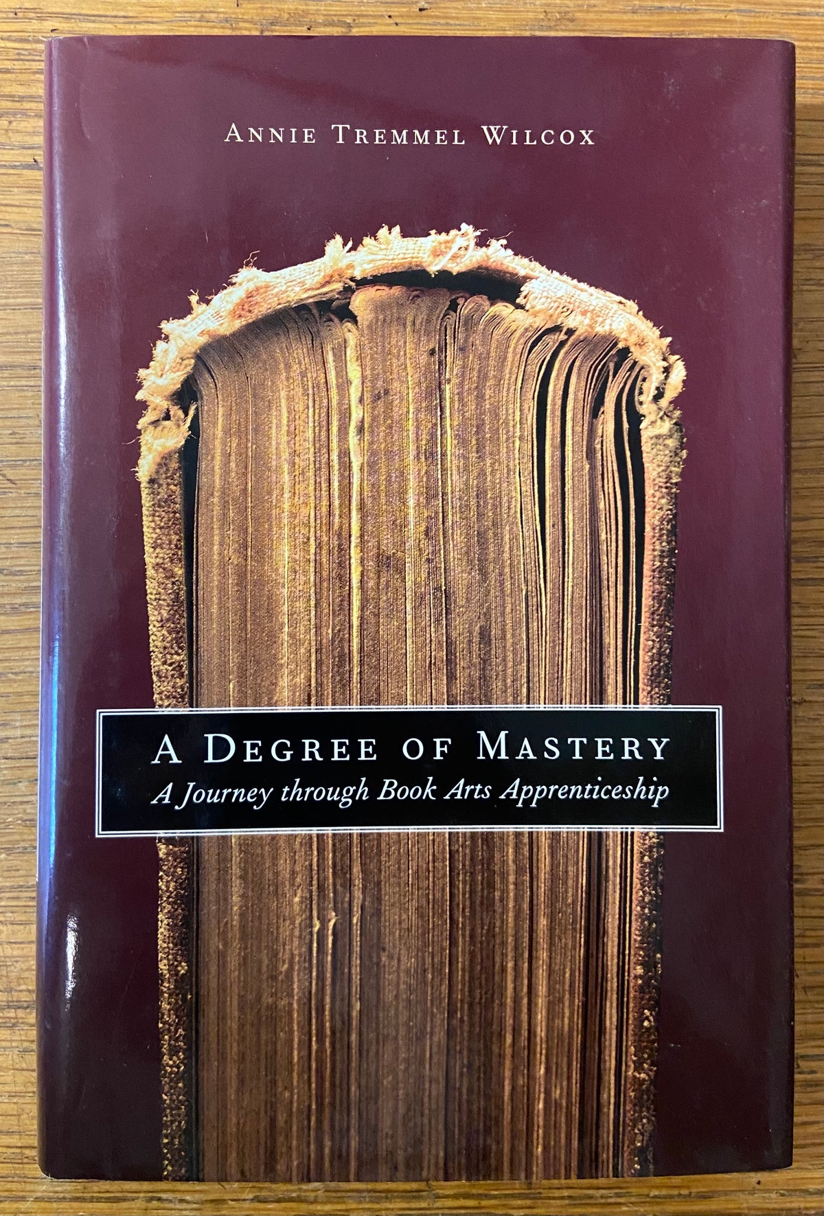 Book, Arts, Education, Annie Tremmel Wilcox, A Degree of Mastery: A Journey Through Book Arts Apprenticeship, Front view