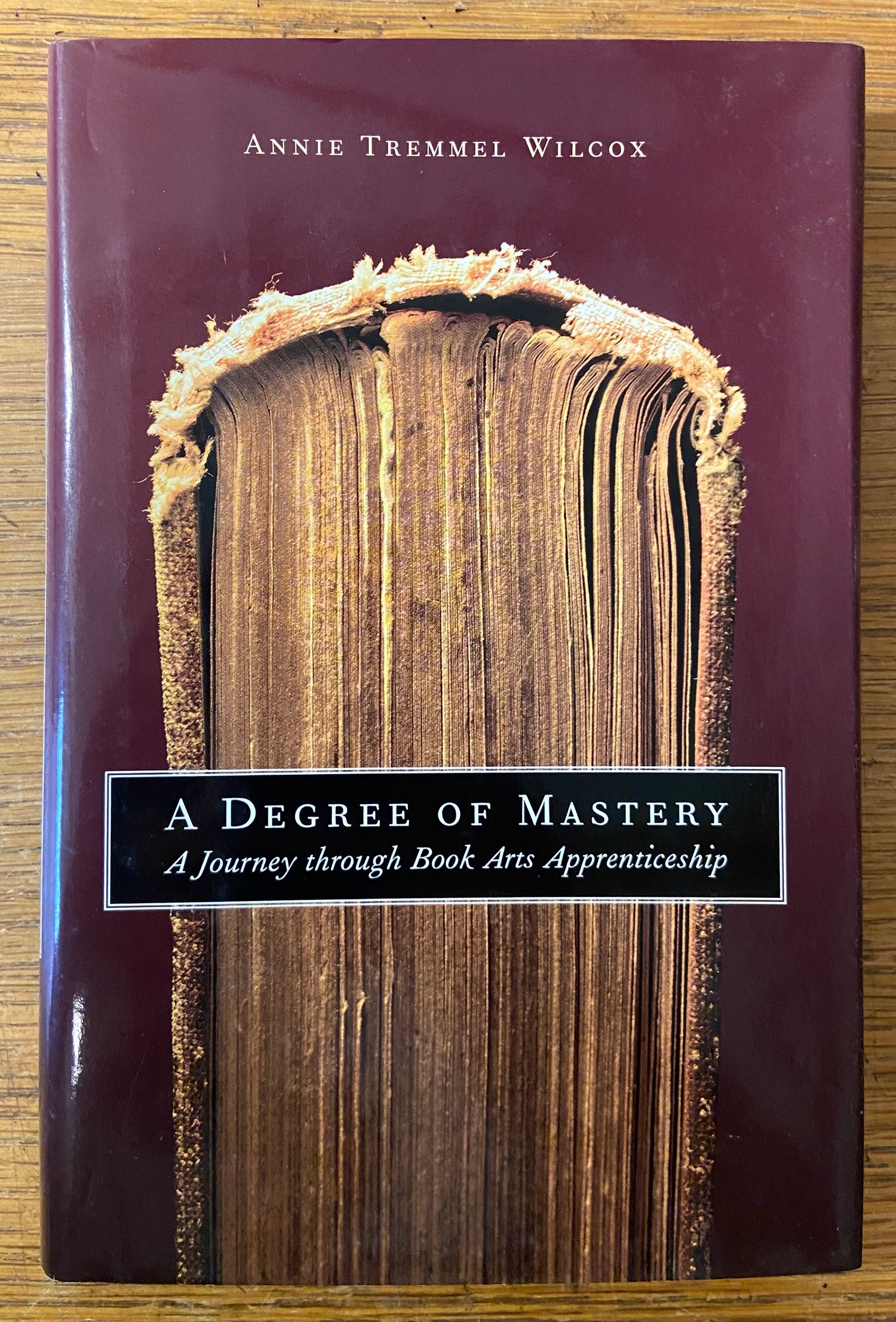 Book, Arts, Education, Annie Tremmel Wilcox, A Degree of Mastery: A Journey Through Book Arts Apprenticeship, Front view