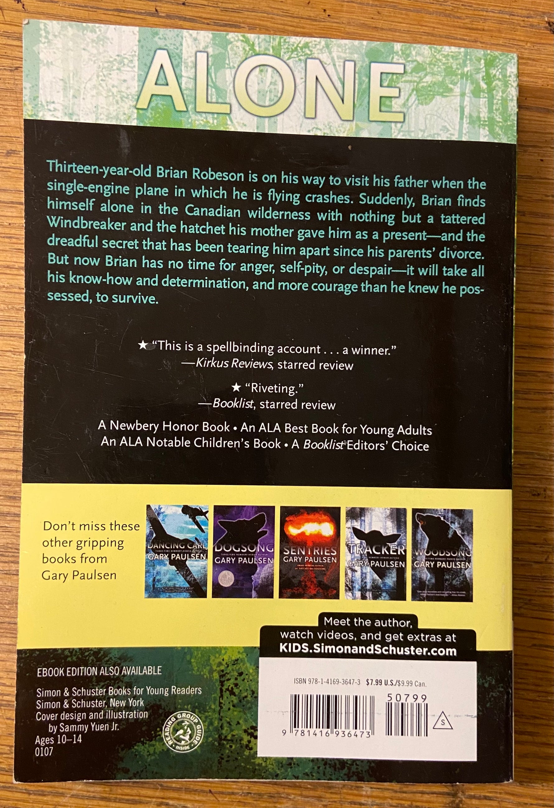 Book, Fiction, Gary Paulson, Hatchet, Back view
