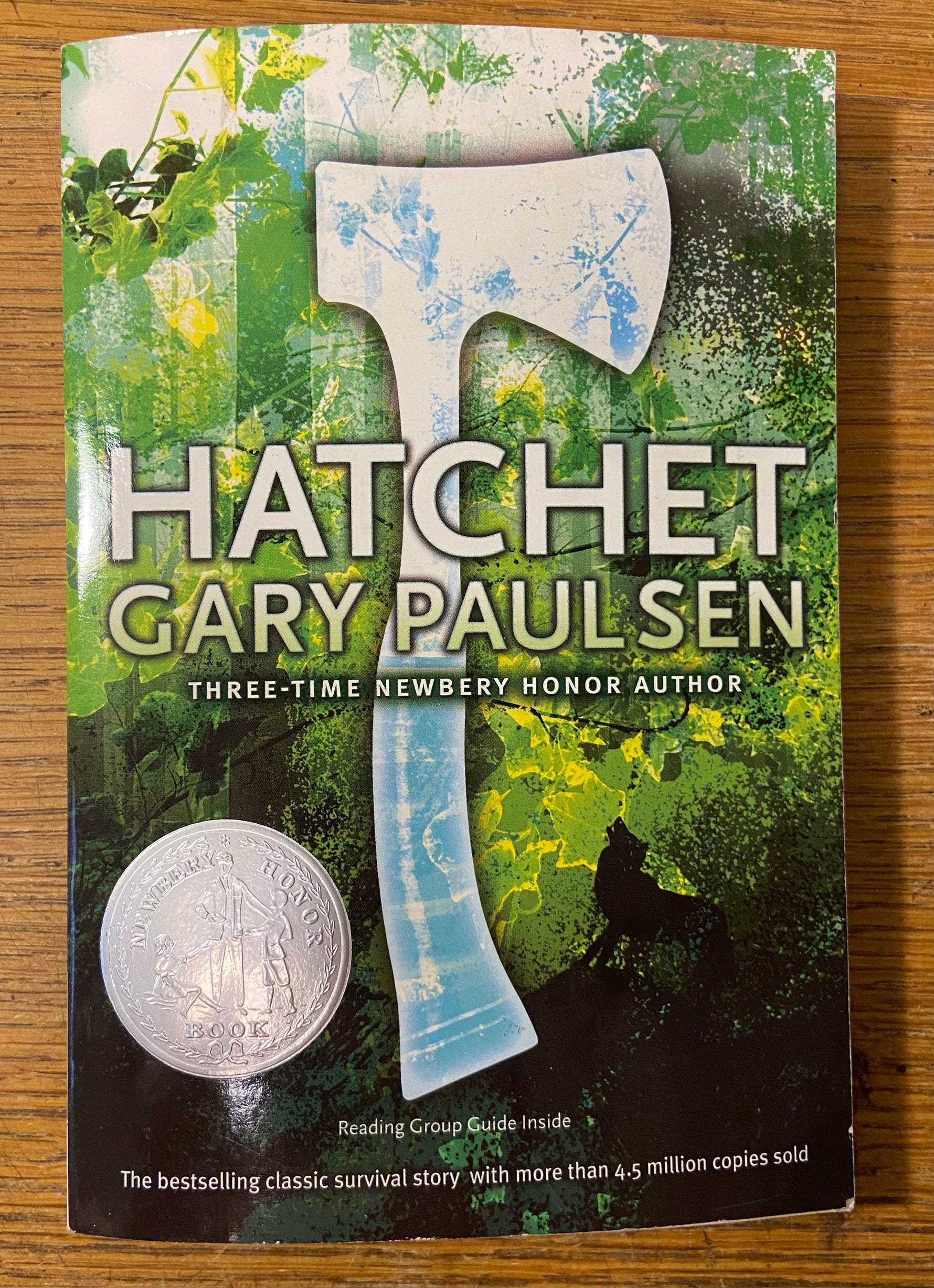 Book, Fiction, Gary Paulson, Hatchet, Front view