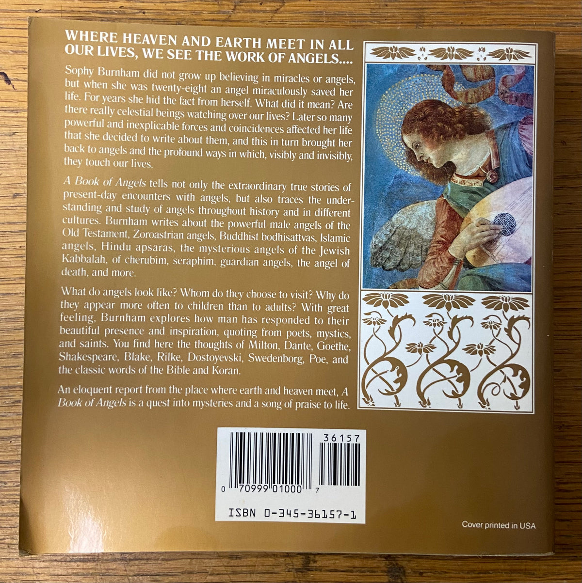 Book, Spiritual, Other, Sophy Burnham, A Book of Angles, Back view